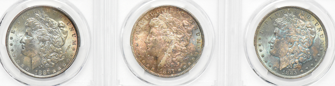 Nine toned Morgan dollars, all PCGS MS-63