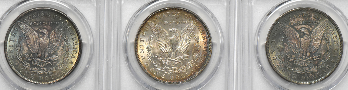 Nine toned Morgan dollars, all PCGS MS-63