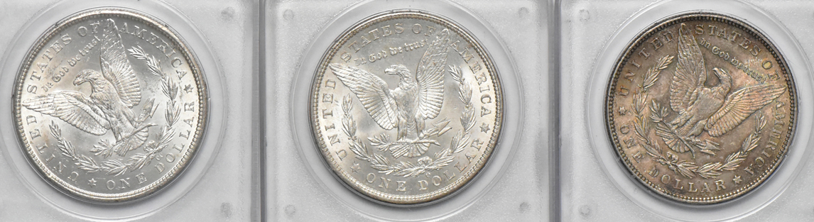 Seven Uncirculated Morgan dollars and four Uncirculated Peace dollars, all PCGS (rattler)