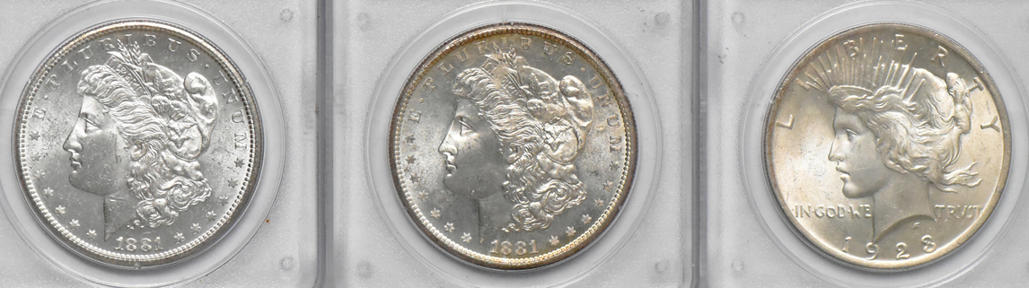 Seven Uncirculated Morgan dollars and four Uncirculated Peace dollars, all PCGS (rattler)
