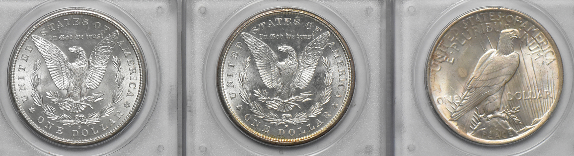 Seven Uncirculated Morgan dollars and four Uncirculated Peace dollars, all PCGS (rattler)