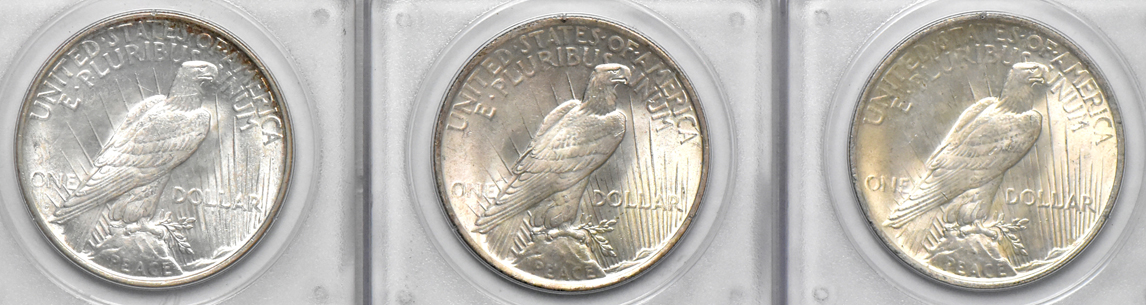 Seven Uncirculated Morgan dollars and four Uncirculated Peace dollars, all PCGS (rattler)