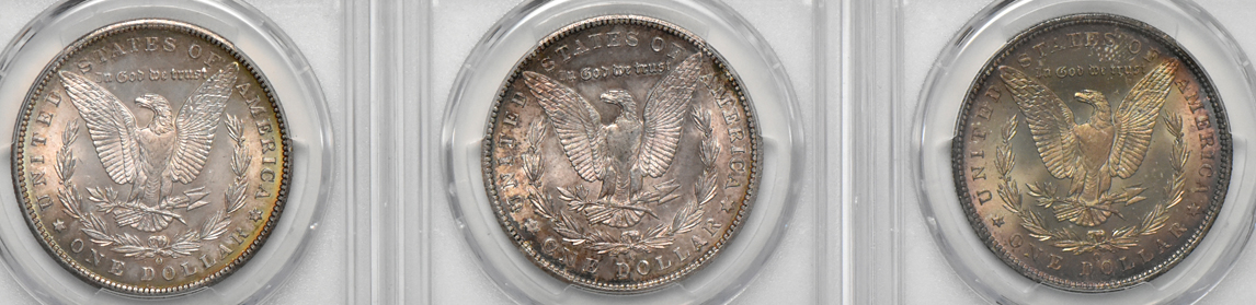 Eight toned Morgan dollars, Five PCGS MS-63 and Three PCGS MS-64