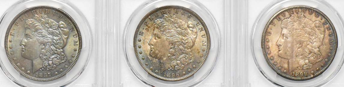 Eight toned Morgan dollars, Five PCGS MS-63 and Three PCGS MS-64