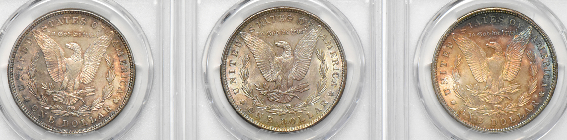 Eight toned Morgan dollars, Five PCGS MS-63 and Three PCGS MS-64