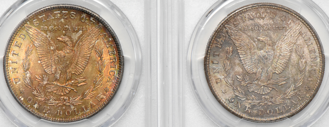 Four toned Morgan dollars, all PCGS MS-65