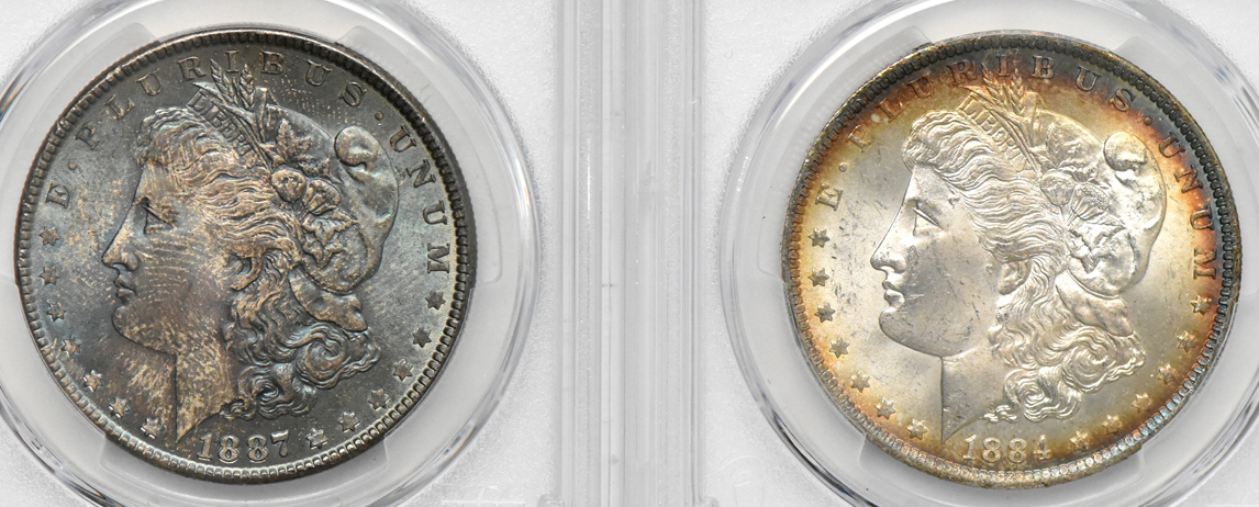 Four toned Morgan dollars, all PCGS MS-65
