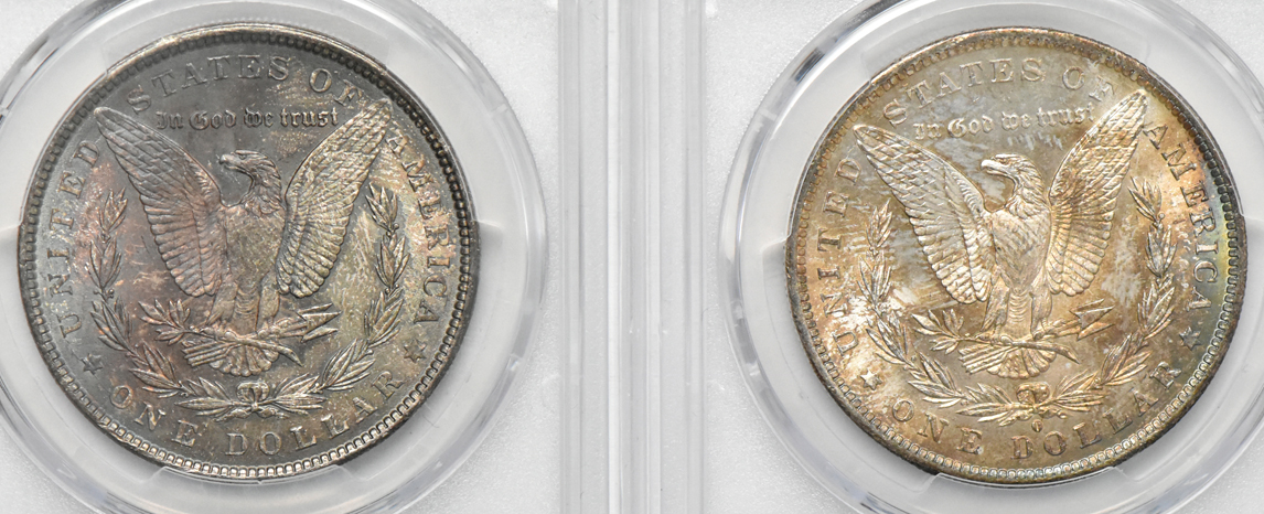 Four toned Morgan dollars, all PCGS MS-65