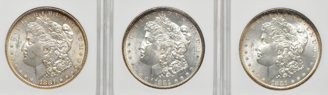 Twenty 1881-S ANACS MS-64