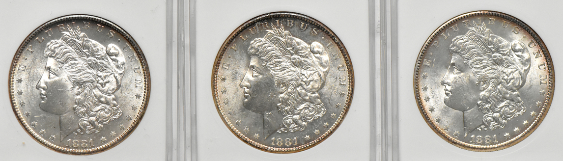 Twenty 1881-S ANACS MS-64