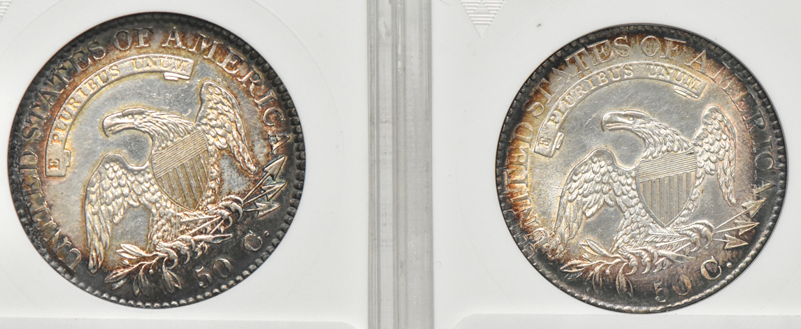 Five Capped Bust half dollars net graded by ANACS