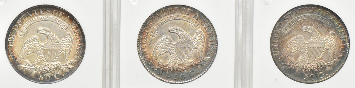 Five Capped Bust half dollars net graded by ANACS