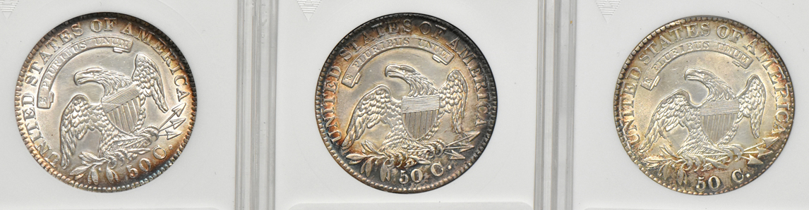 Seven Capped Bust half dollars net graded by ANACS