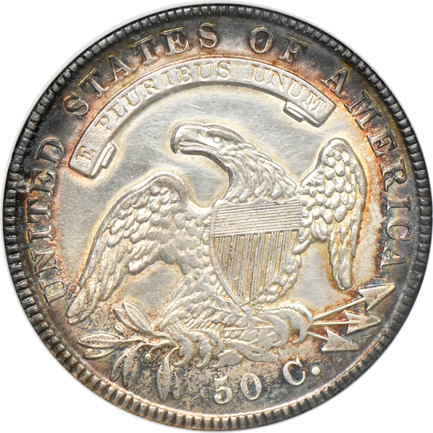 Seven Capped Bust half dollars net graded by ANACS