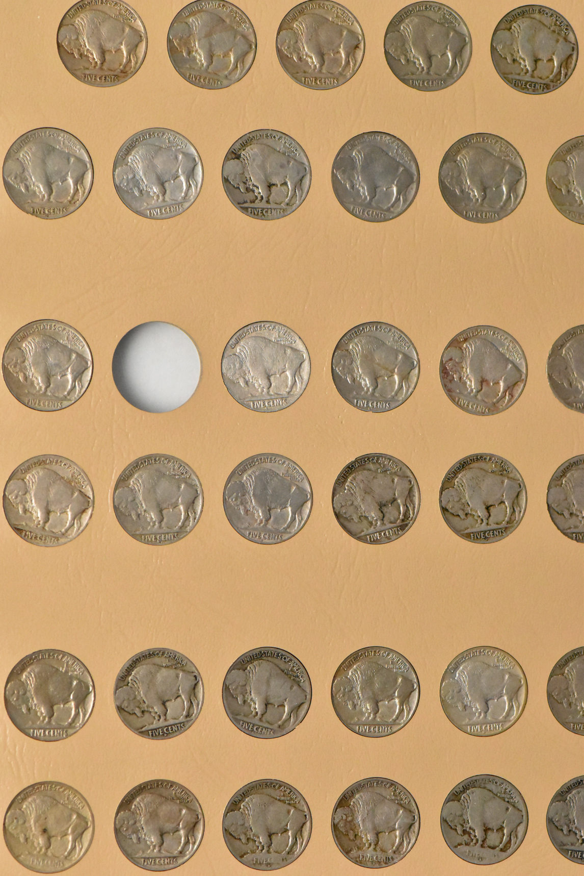 Nearly complete collection of Buffalo nickels in a Dansco 7112 album