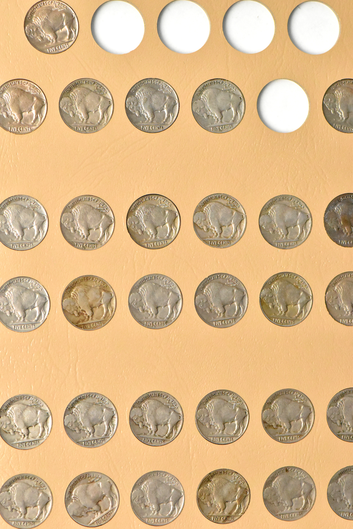 Nearly complete collection of Buffalo nickels in a Dansco 7112 album