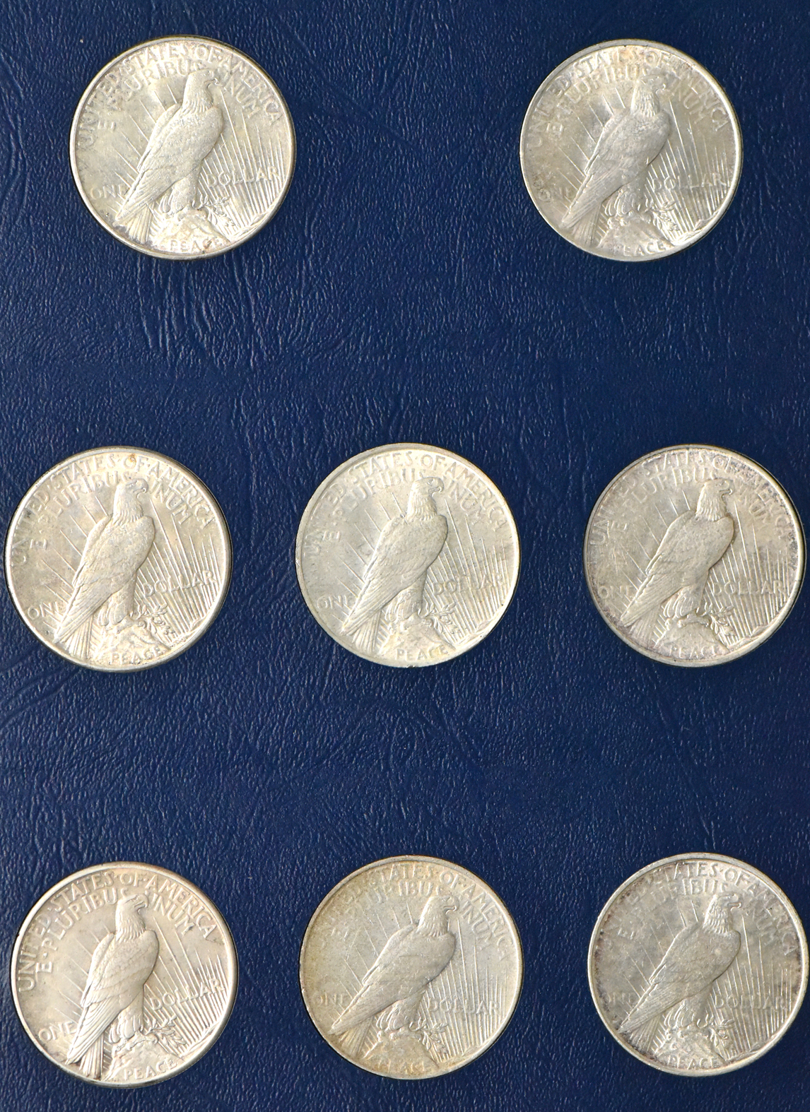 Collection of Peace dollars in a complete Whitman 9430