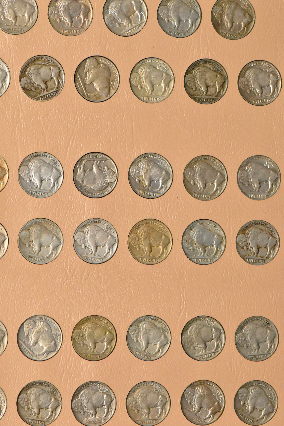 Collection of Buffalo nickels in a complete Dansco 7112 album