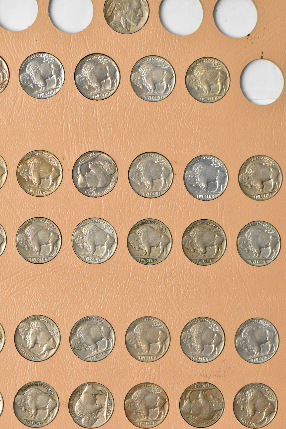 Collection of Buffalo nickels in a complete Dansco 7112 album