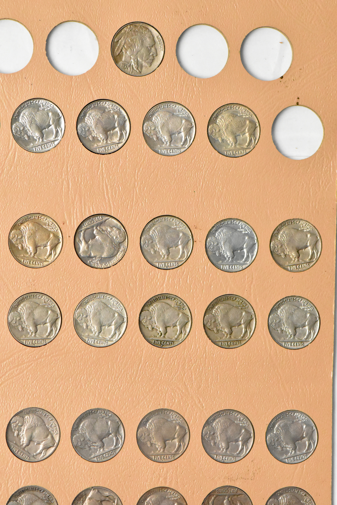 Collection of Buffalo nickels in a complete Dansco 7112 album