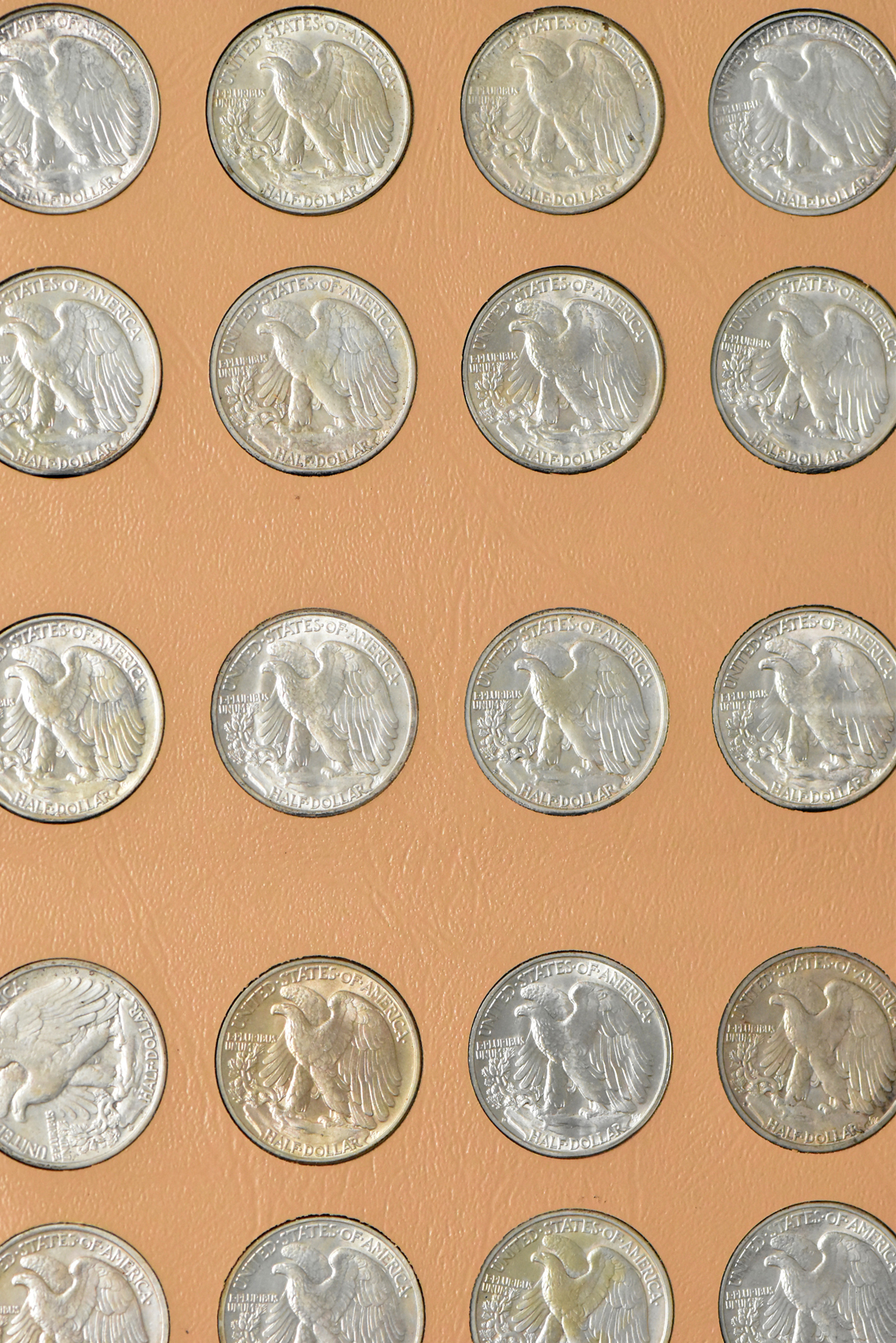 Collection of Walking Liberty half dollars in a complete Dansco 7160 album