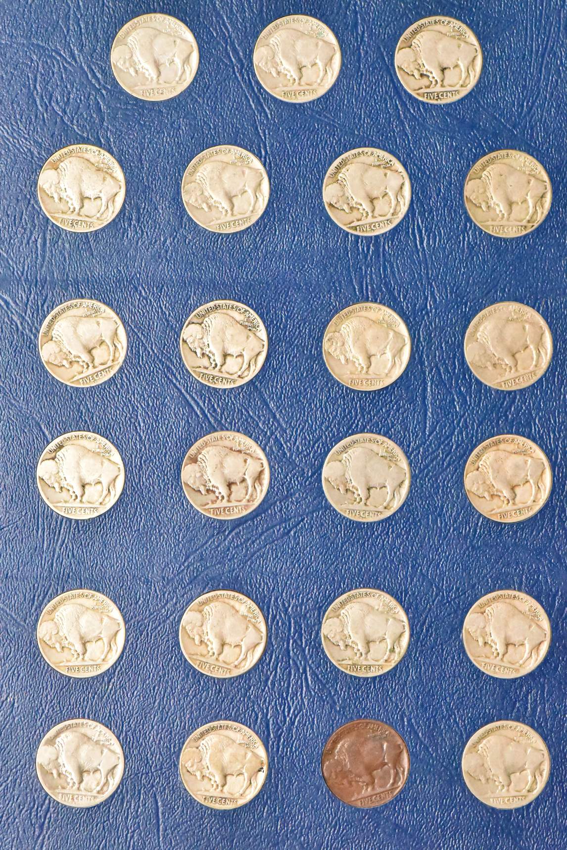 Collection of Buffalo nickels in a complete Whitman 9408 album