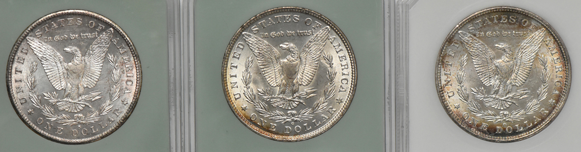 Nineteen Morgan dollars