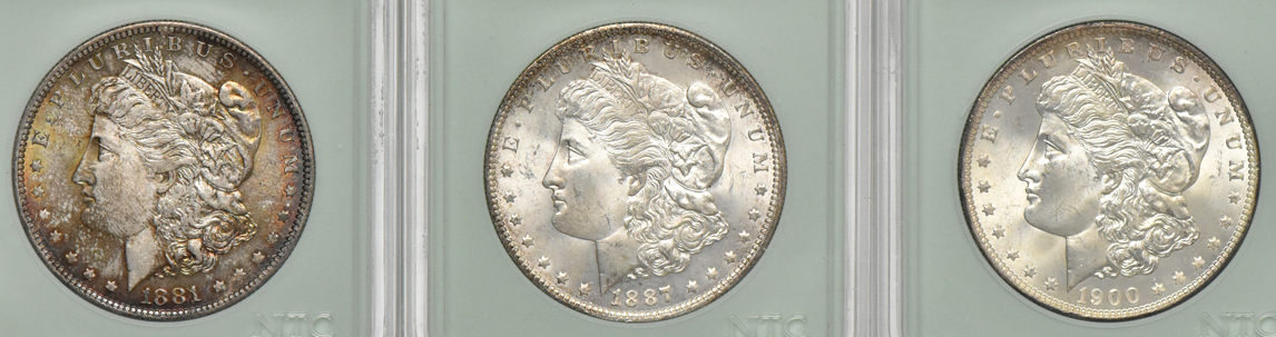 Nineteen Morgan dollars