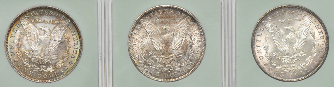 Nineteen Morgan dollars