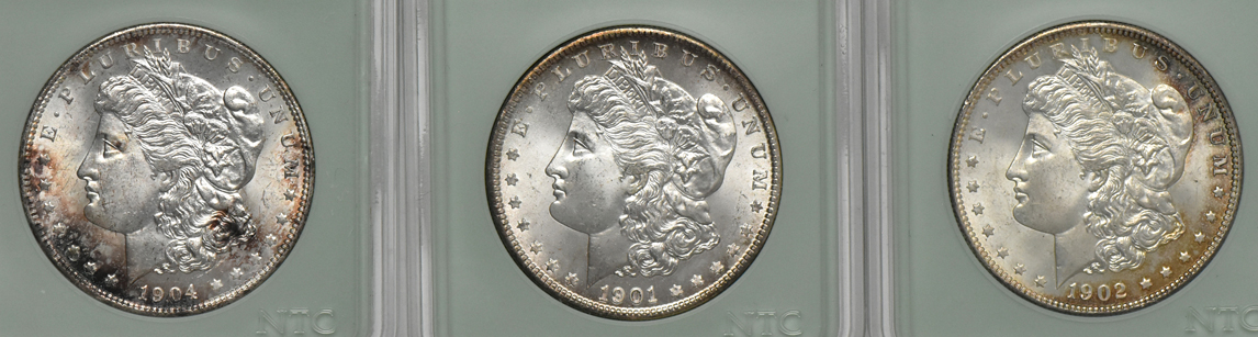 Nineteen Morgan dollars