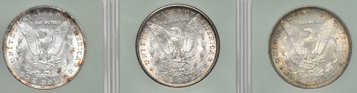 Nineteen Morgan dollars