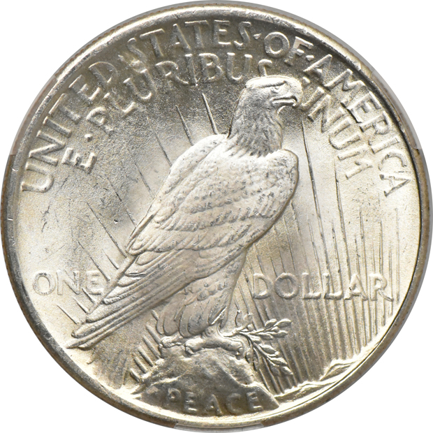 1884-CC Morgan dollar MS-65, and a 1925 Peace dollar MS-66, both Witter Brick CACG