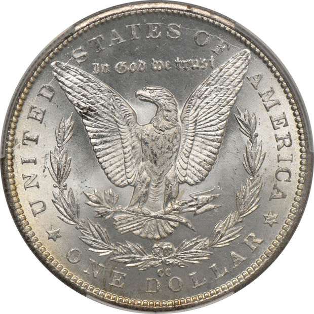 1884-CC Morgan dollar MS-65, and a 1925 Peace dollar MS-66, both Witter Brick CACG