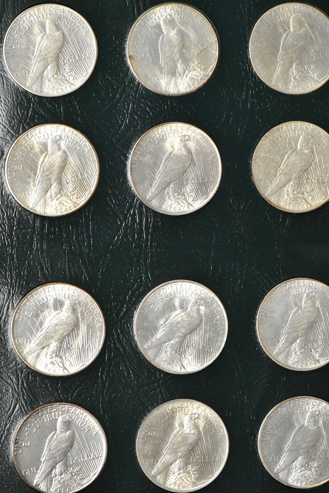 Collection of 24 different Peace dollars in an Intercept Shield album
