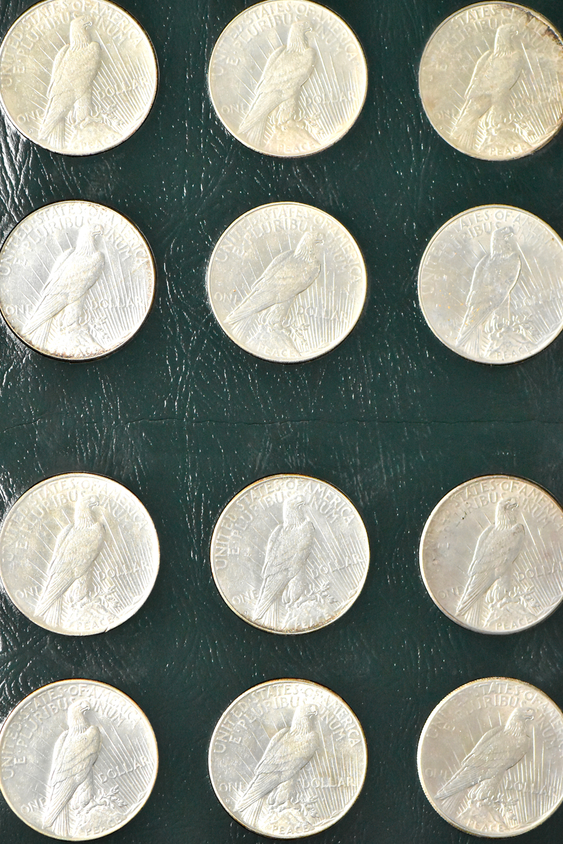 Collection of 24 different Peace dollars in an Intercept Shield album