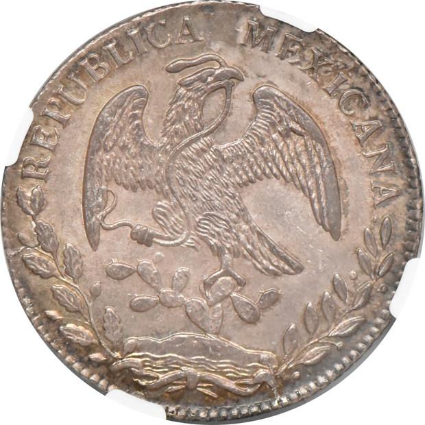 Mexico - 1881-CA MG 8 reales - NGC MS-64