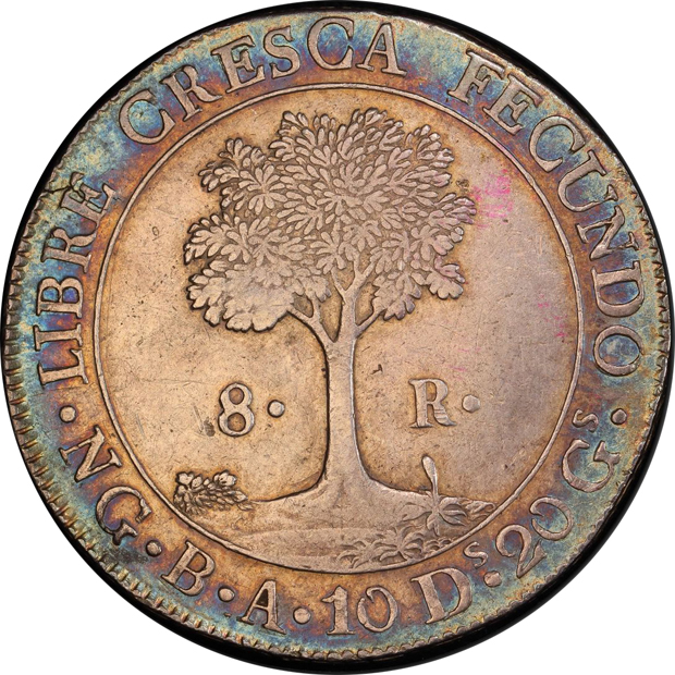 Central American Republic - 1836-NG BA 8 reales - PCGS XF-45