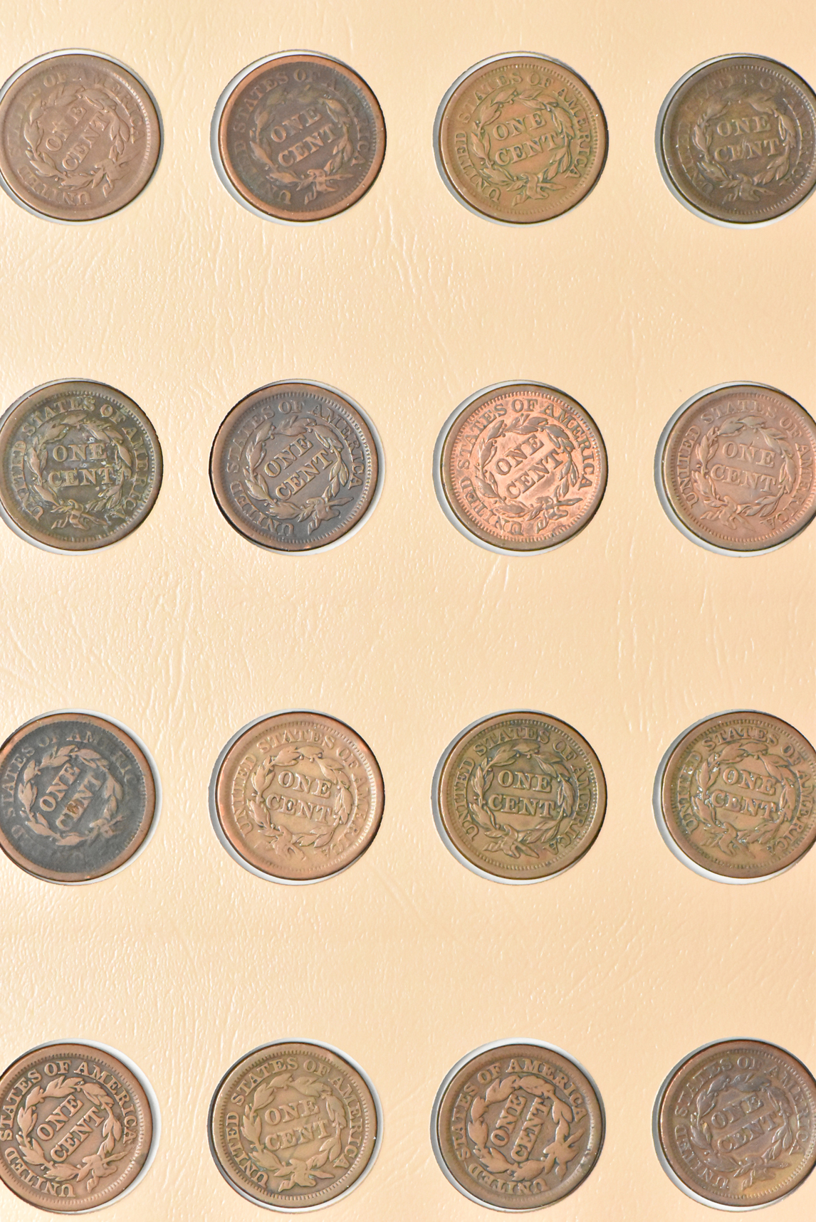 Collection of 77 Large Cents in a Dansco 7099 album