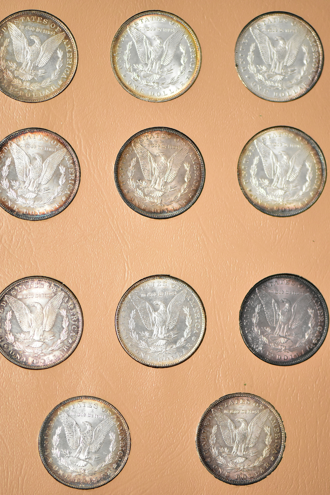 Morgan dollar date set in a Whitman 7171
