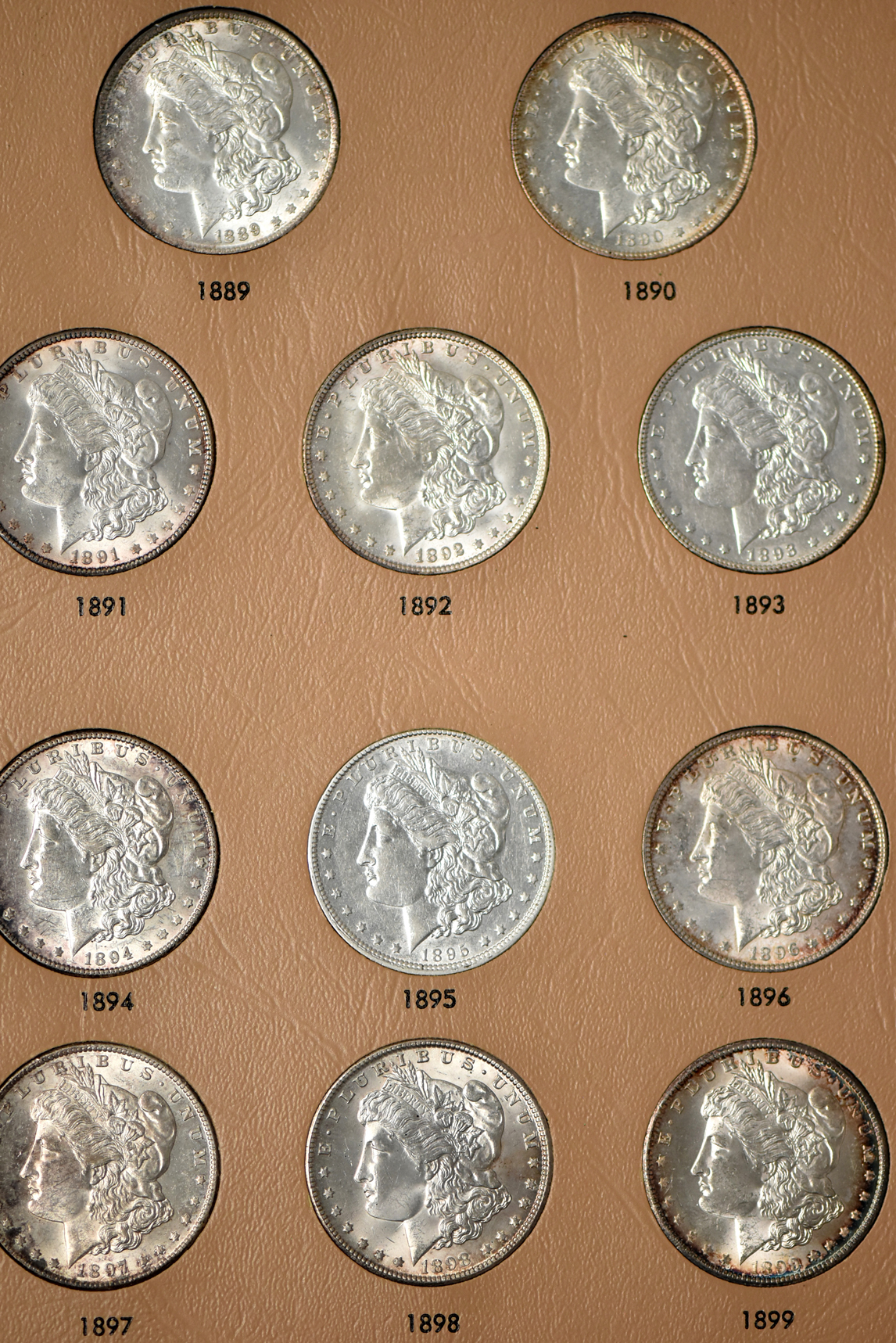 Morgan dollar date set in a Whitman 7171