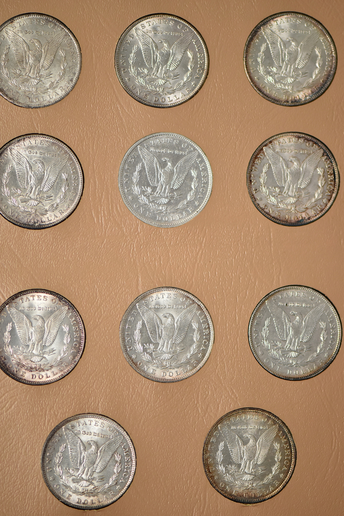 Morgan dollar date set in a Whitman 7171