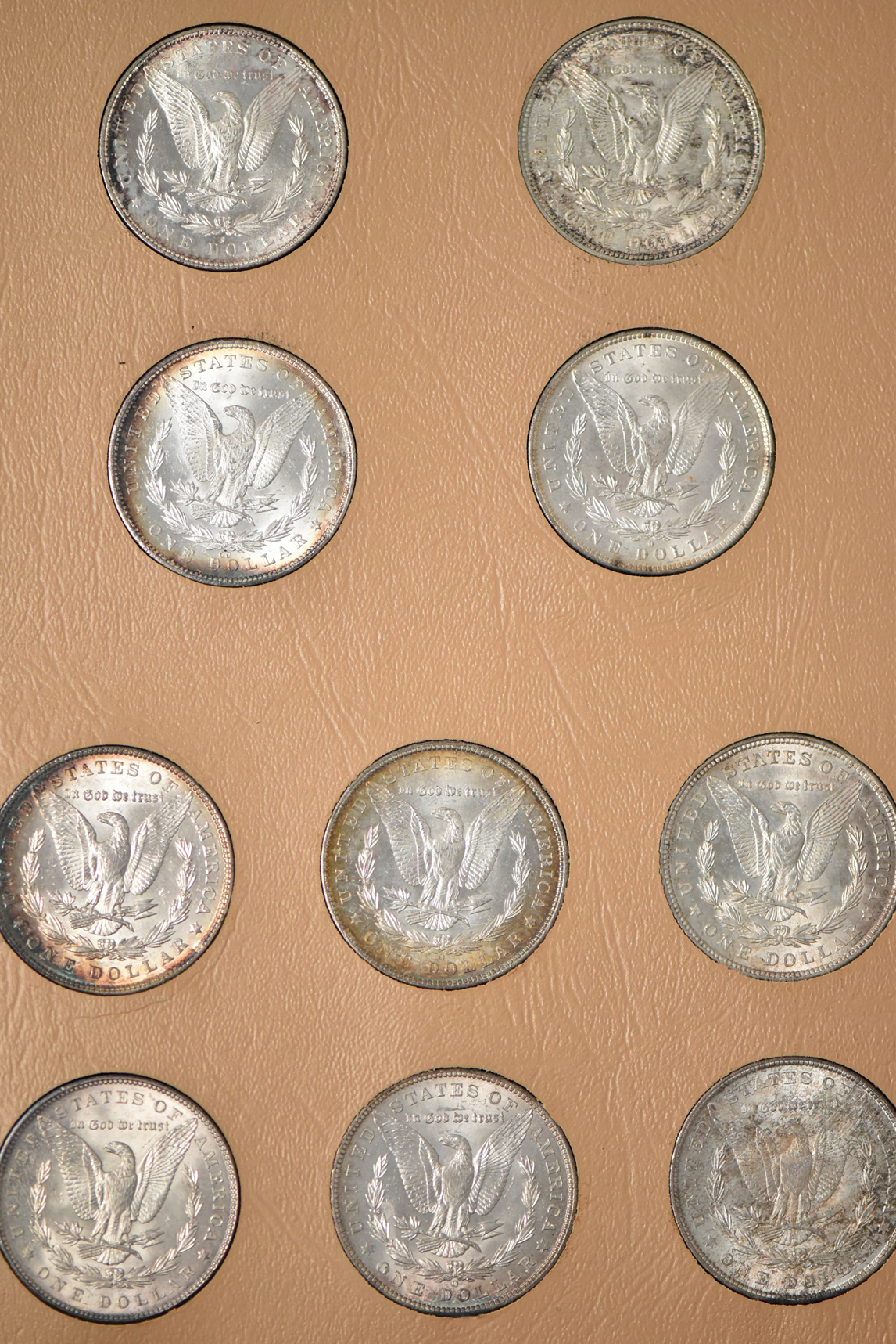 Morgan dollar date set in a Whitman 7171
