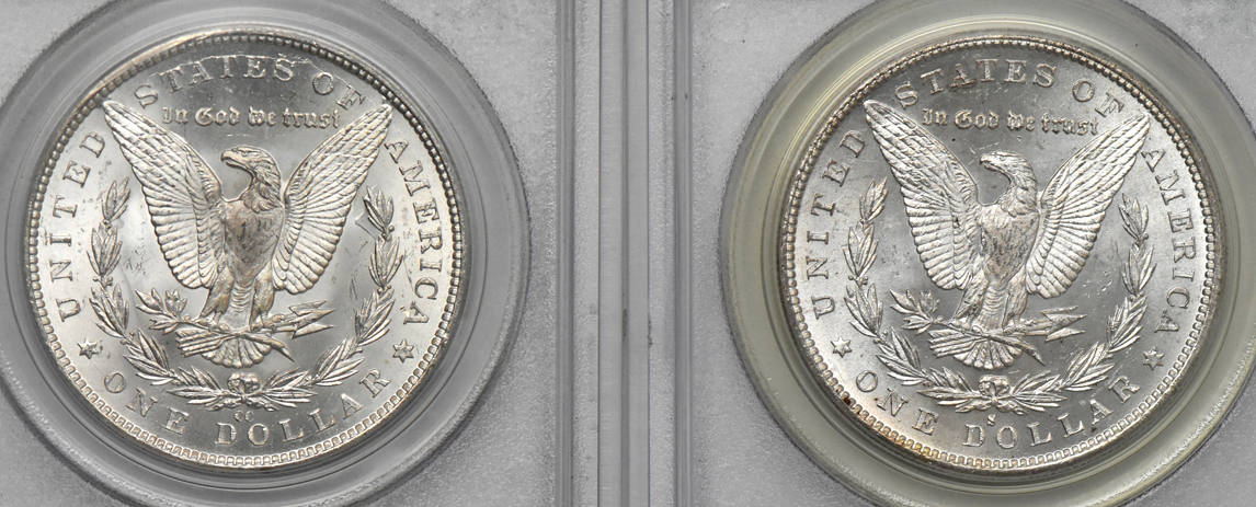 Five Morgan dollars, all PCGS MS-64 (green label)