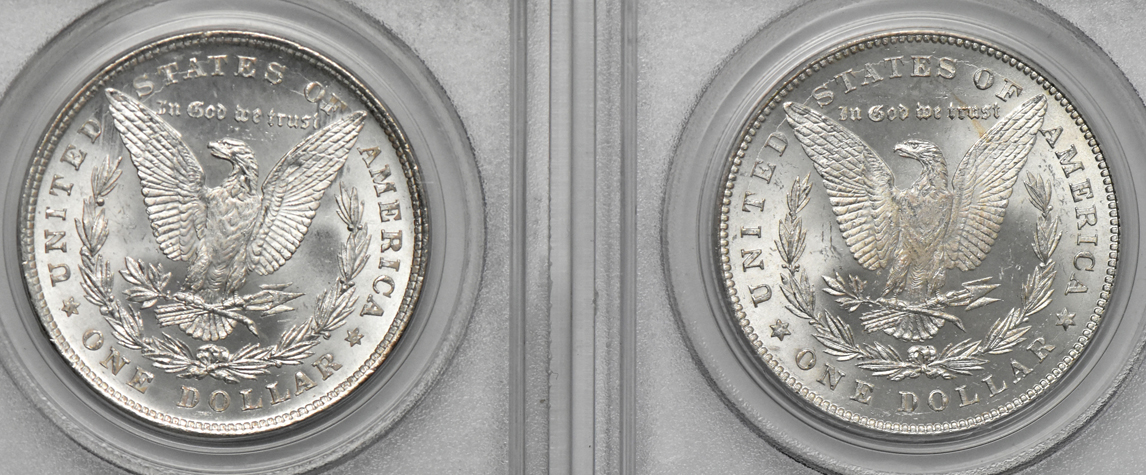 Five Morgan dollars, all PCGS MS-64 (green label)