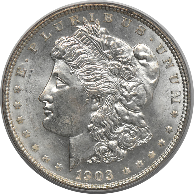 Five Morgan dollars, all PCGS MS-64 (green label)