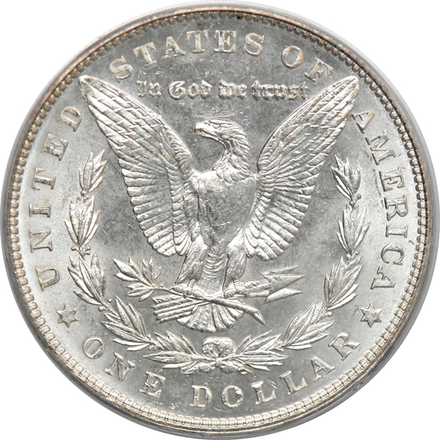 Five Morgan dollars, all PCGS MS-64 (green label)