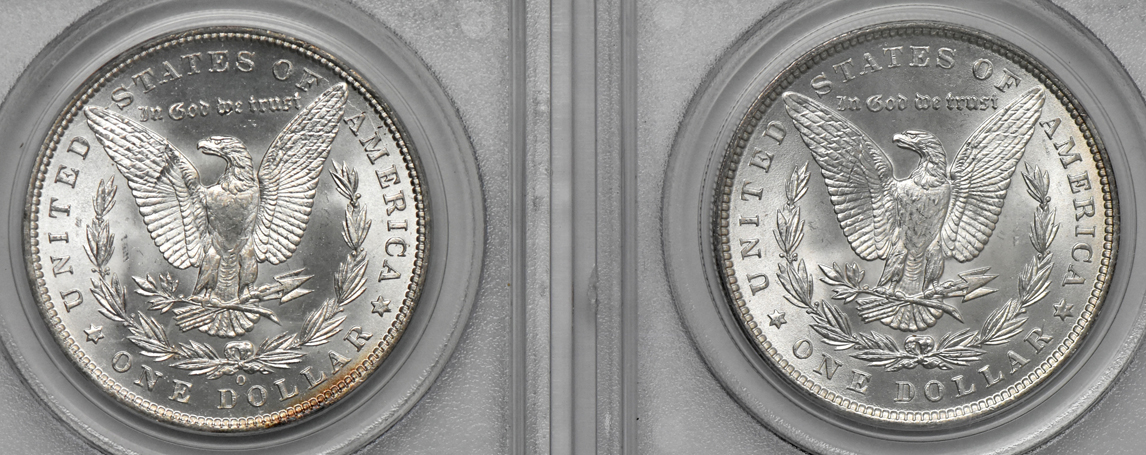 Seven Morgan dollars, all PCGS MS-65 (green label)
