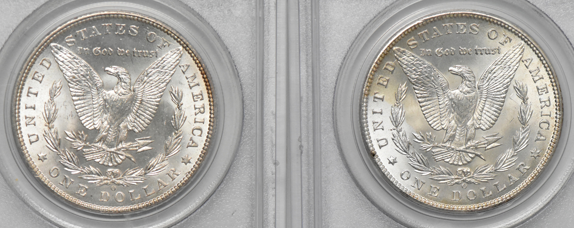Seven Morgan dollars, all PCGS MS-65 (green label)