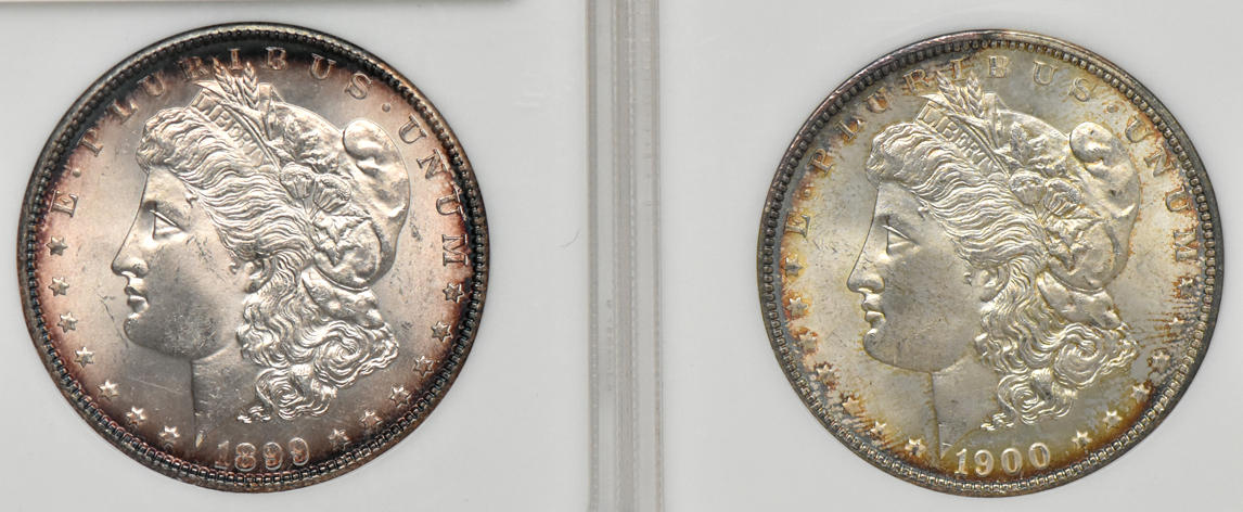 Four Morgan dollars, all NGC MS-65 (no line)