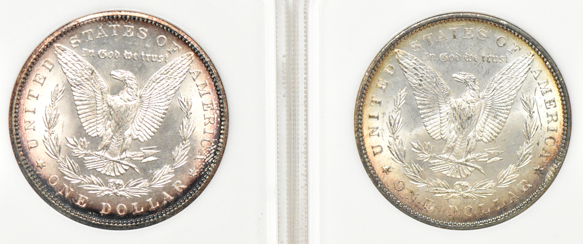 Four Morgan dollars, all NGC MS-65 (no line)